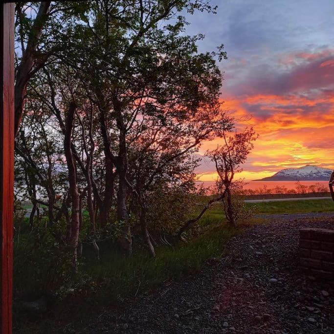 Þorsmoerk Farm 12 Min From Akureyri Apartment Svalbarthseyri Bagian luar foto