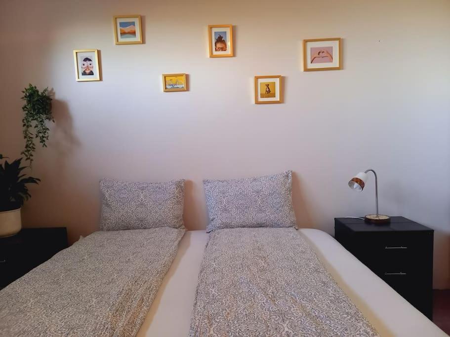Þorsmoerk Farm 12 Min From Akureyri Apartment Svalbarthseyri Bagian luar foto